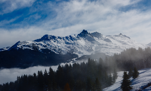 冬将立，来看阿尔卑斯山下寄存的冬日幻想